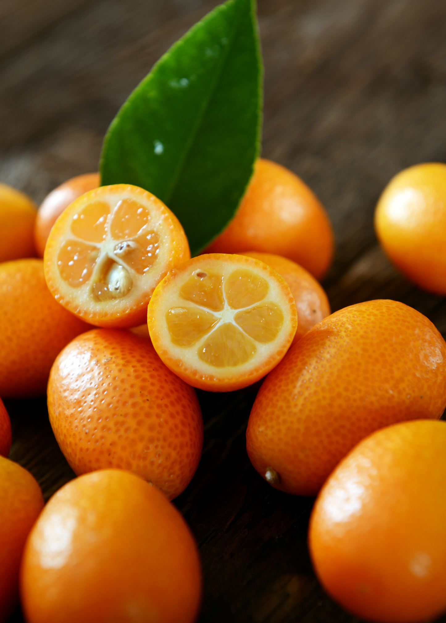 Nagami Kumquat Tree (Citrus margarita) - Tampa Home & Garden Store