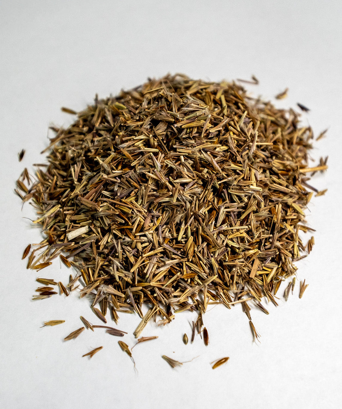 Native Grass Seed Blend Thunder Acres Big Bluestem mix on Tampa Home & Garden Store