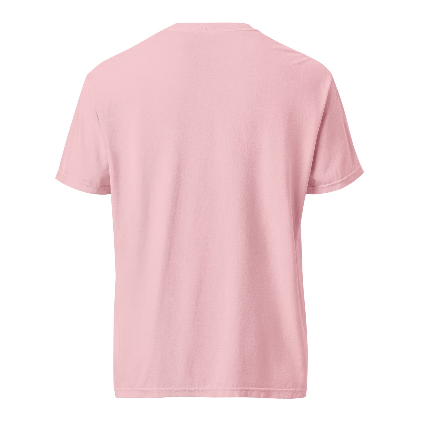 Natural Enemy Unit - Heavyweight Tee - Tampa Home & Garden Store