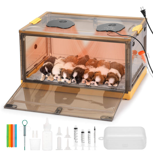 Neighborhood Pet Incubator, Grey Translucent - Tampa Home & Garden Store