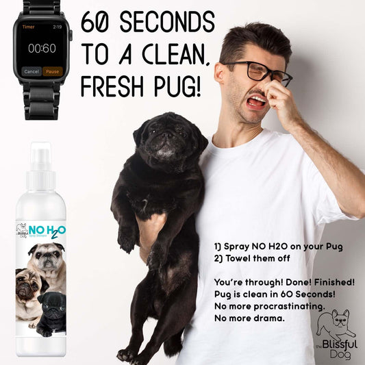 No H20 Spray Pet Shampoo - Tampa Home & Garden Store