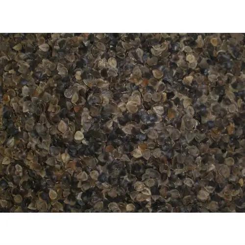 Organic Japanese Size buckwheat hulls pillow fill close-up brown textured hulls on Tampa Home & Garden Store