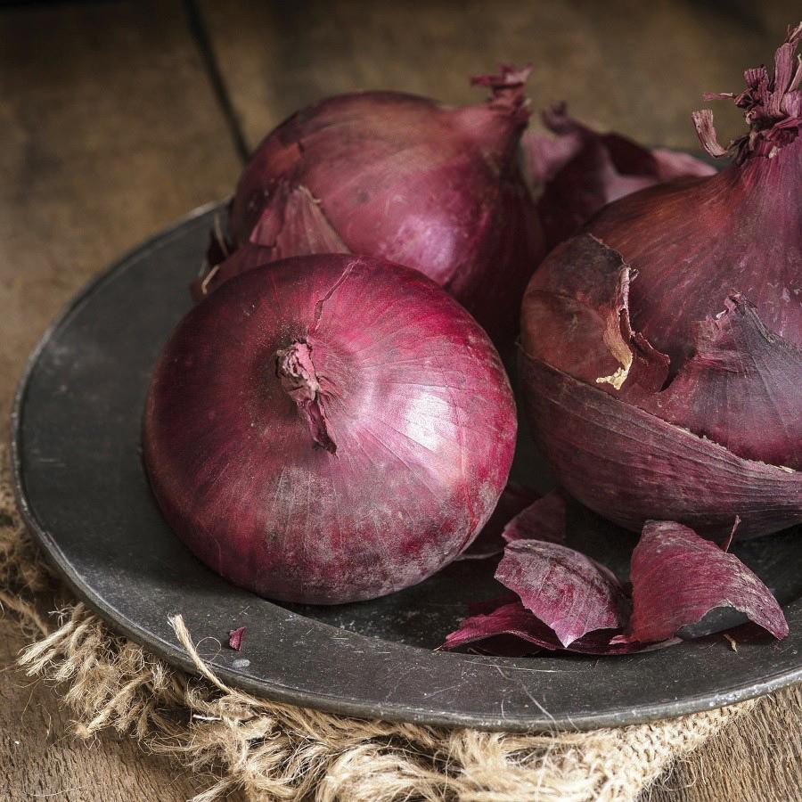 Three Ruby Red Long Day Onion bulbs on a dark metal plate on Tampa Home & Garden Store