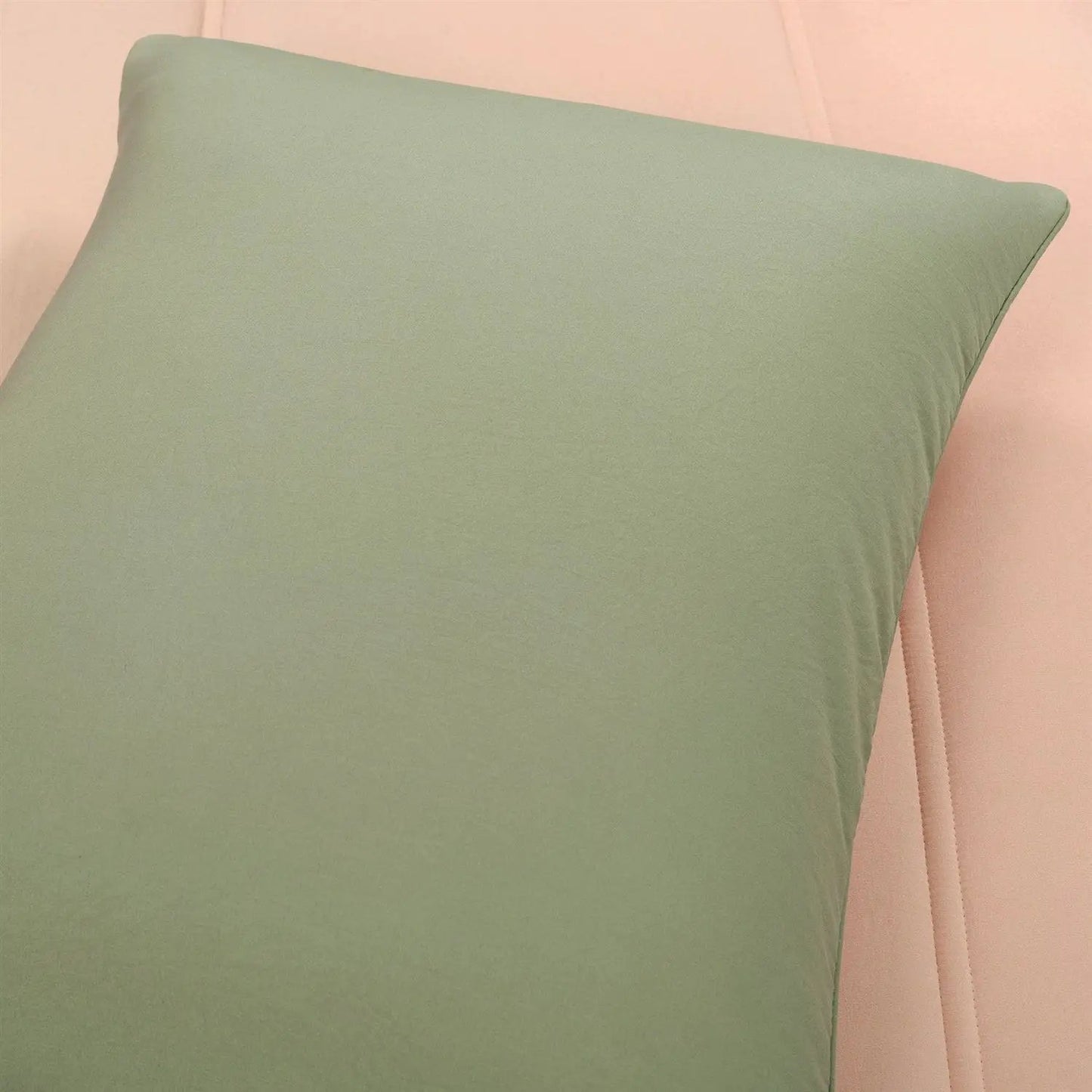 - image on Tampa Home & Garden Store