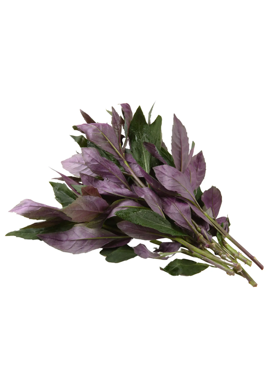 Okinawan Spinach Perennial herb with purple-green leaves from Sow Exotic on Tampa Home & Garden Store