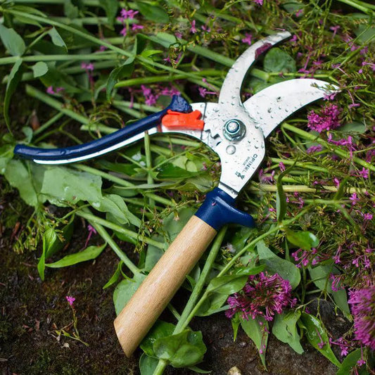 Opinel Hand Pruners Blue - Tampa Home & Garden Store