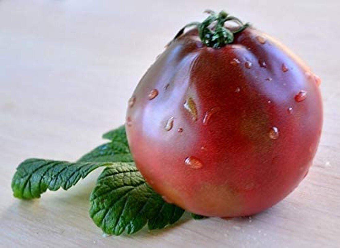 Organic Black Truffle Japanese Tomato Seeds - Non GMO - Easy to Grow Vegetable Garden - Tampa Home & Garden Store