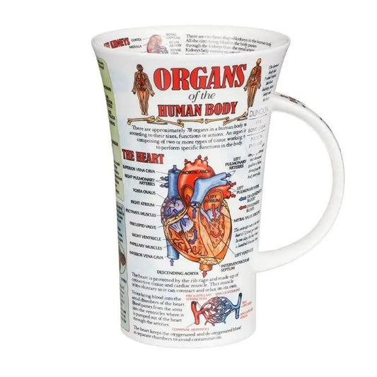 Organs of the Human Body Fine Bone China Mug white ceramic with colorful anatomy diagram on Tampa Home & Garden Store