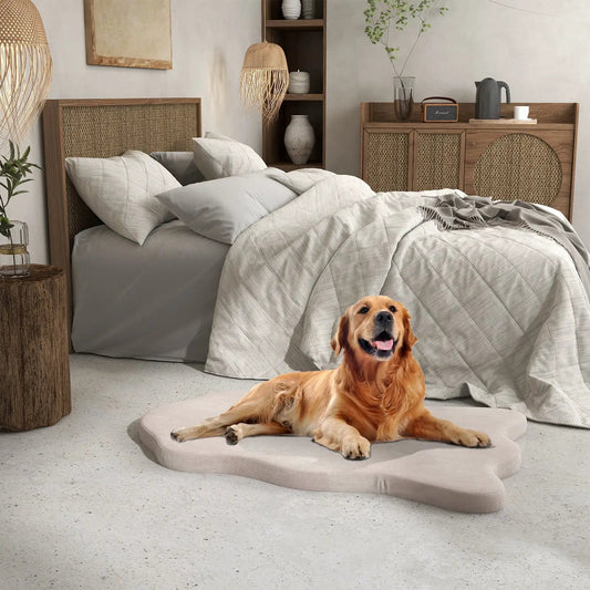 Orthopedic Memory Foam Dog Bed for Large Dogs DirectDeals beige cover on Tampa Home & Garden Store