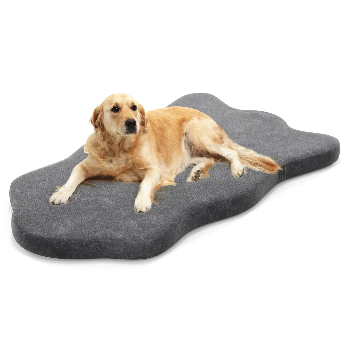 Orthopedic memory foam dog bed for large dogs in dark gray fabric by DirectDeals on Tampa Home & Garden Store