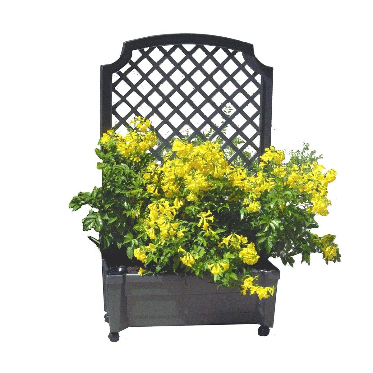 Outdoor Self-Watering Garden Planter with Trellis and Wheels in Grey Plastic - Tampa Home & Garden Store