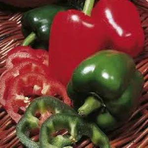California Wonder pepper seeds, heirloom bulk, red and green peppers in a basket on Tampa Home & Garden Store