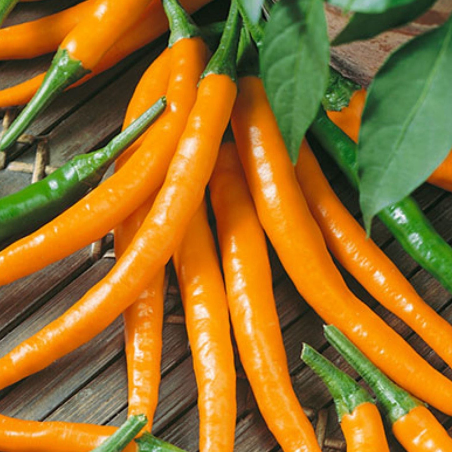 Orange cayenne peppers with green stems on a wooden surface on Tampa Home & Garden Store