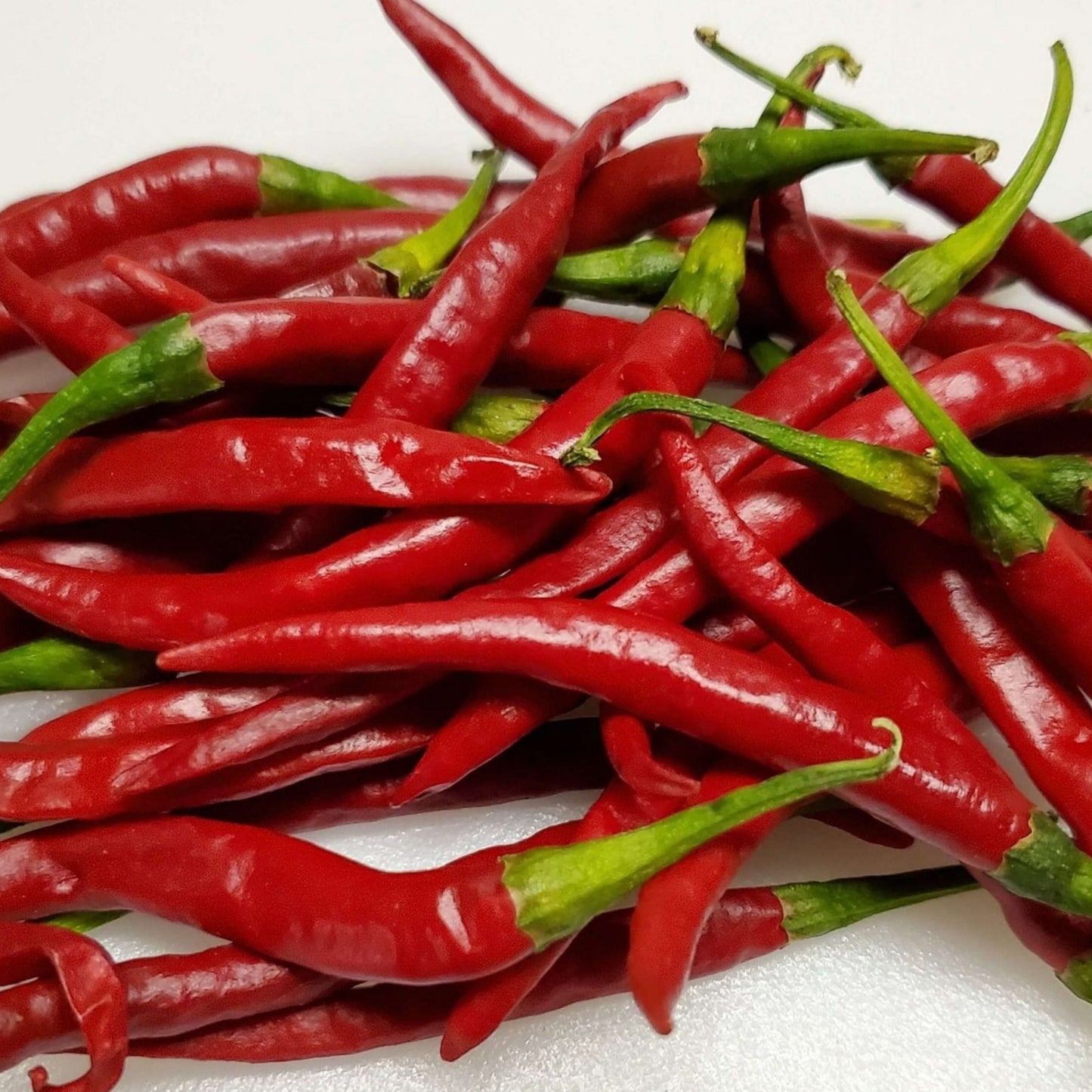 Chile De Arbol Pepper Seeds red chili peppers with green stems on white background on Tampa Home & Garden Store