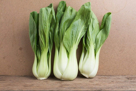 Pak Choi - 500 Seeds - Bok Choy Asian Vegetable Seeds Chinese Cabbage - Tampa Home & Garden Store