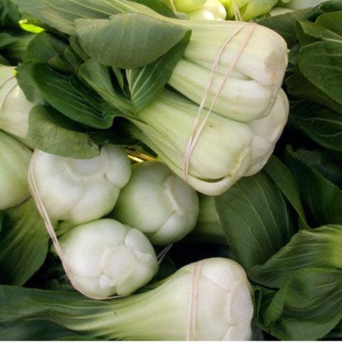 Pak Choi Baby Shanghai Greens Seeds (Organic) - Tampa Home & Garden Store