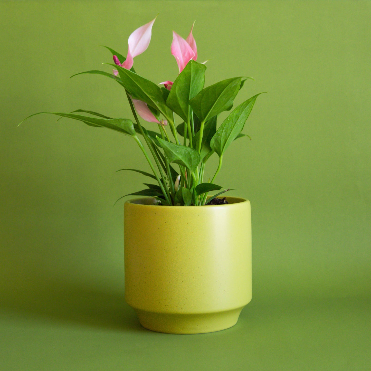 Parker Planter | Palm Speckle - Tampa Home & Garden Store