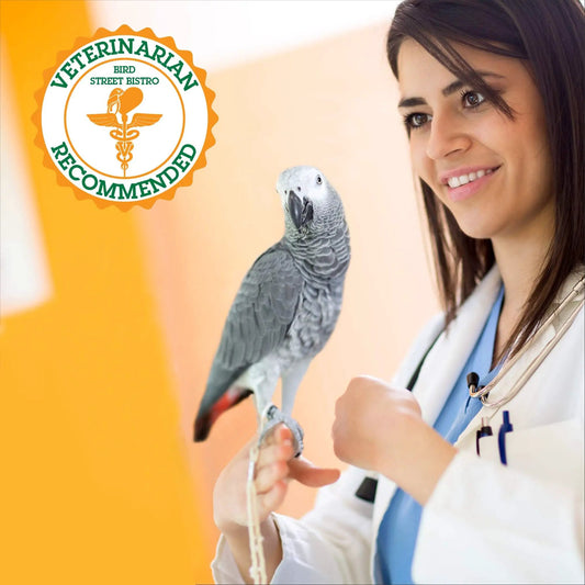 Parrot food sample by Bird Street Bistro with vet-approved badge and parrot on Tampa Home & Garden Store