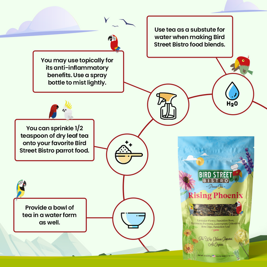 Parrot Food & Tea Starter Pack - Tampa Home & Garden Store