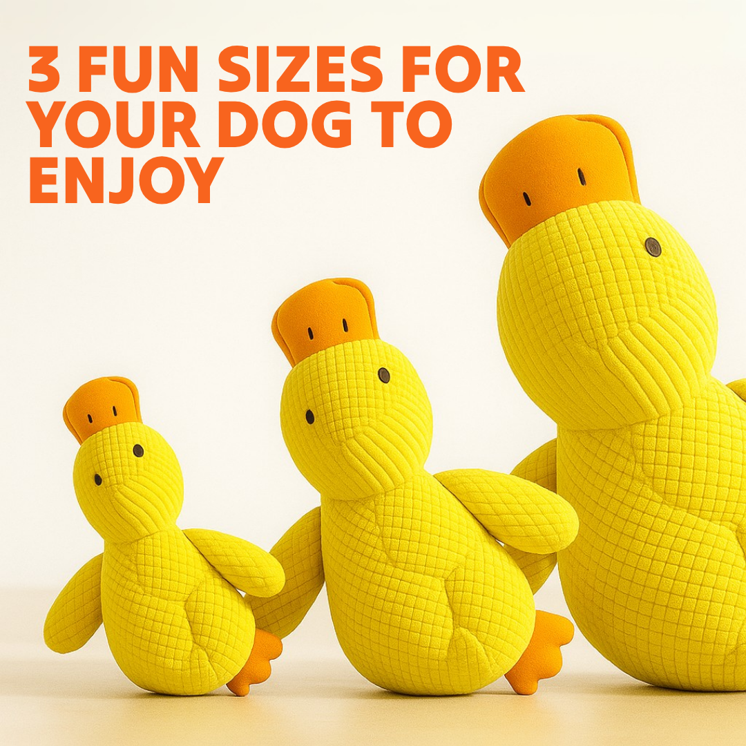 Paw Bounds™ Durable Calming Duck - Tampa Home & Garden Store