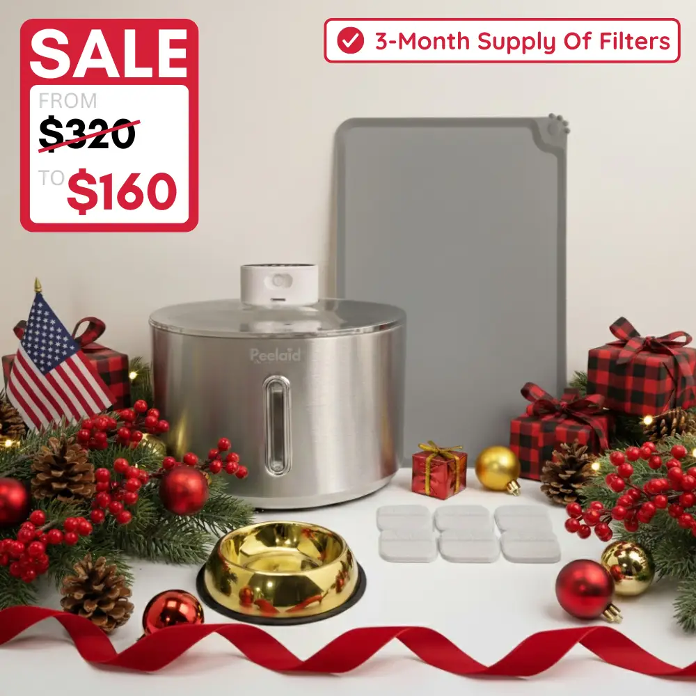 Peelaid Value Hydration and Feeding Set stainless steel slow feeder bowl with lid holiday on Tampa Home & Garden Store