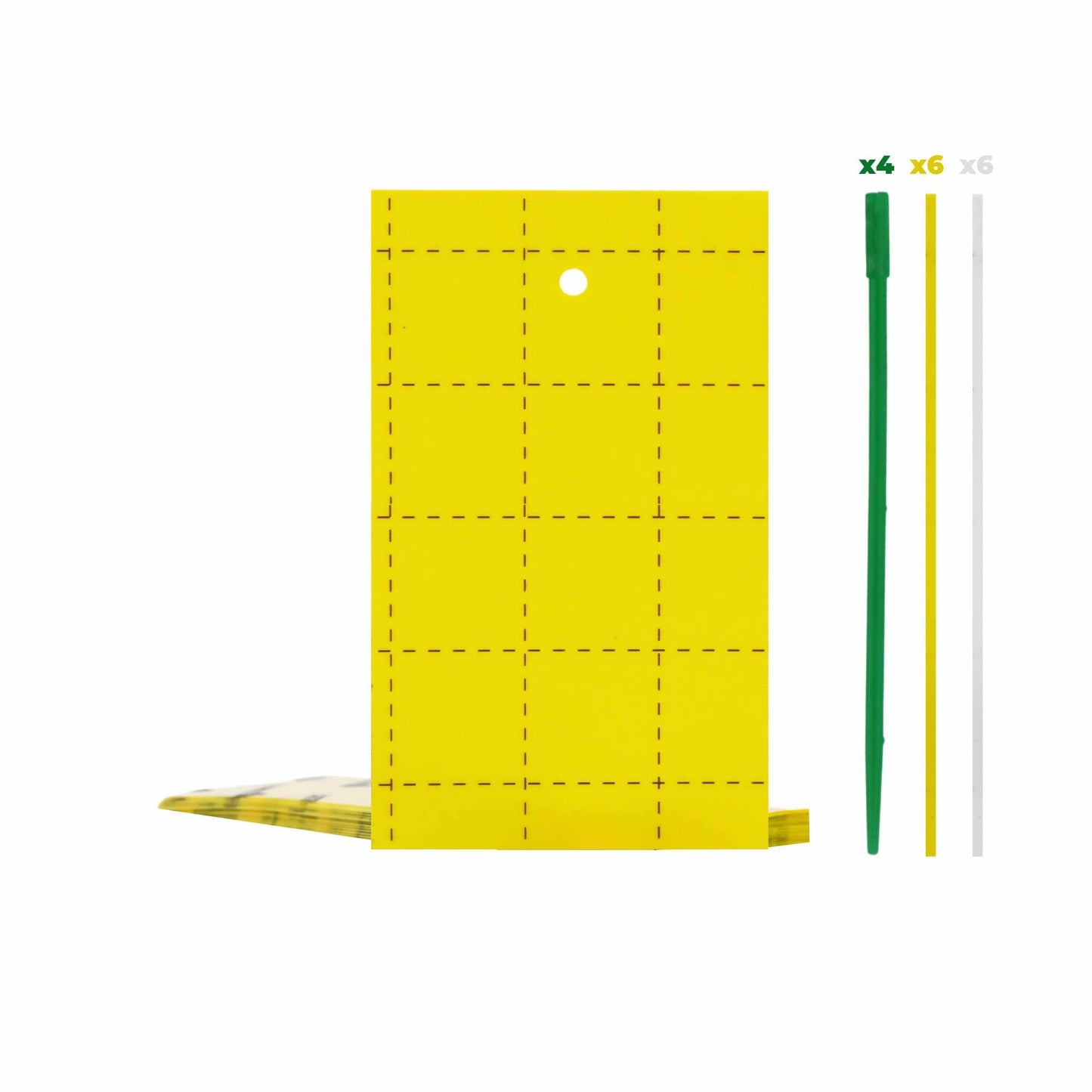 Pest Control Sticky Trap Cards - Tampa Home & Garden Store