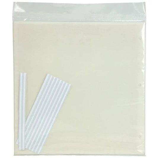 Pest Wizard Big Invisible Insect Trap 5-Pack - Tampa Home & Garden Store