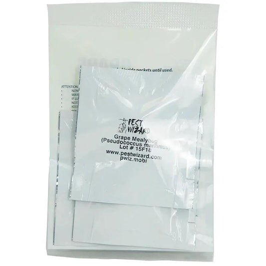 3-pack Pest Wizard Grape Mealybug Lure in clear poly bag with printed label on Tampa Home & Garden Store