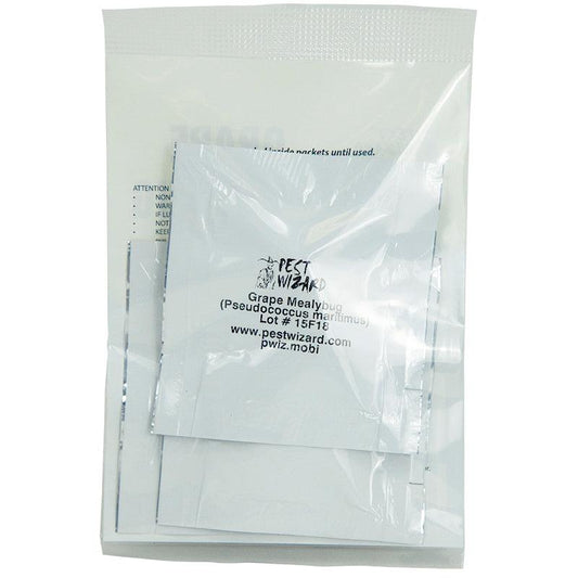 Pest Wizard Grape Mealybug Lure 3-Pack - Tampa Home & Garden Store