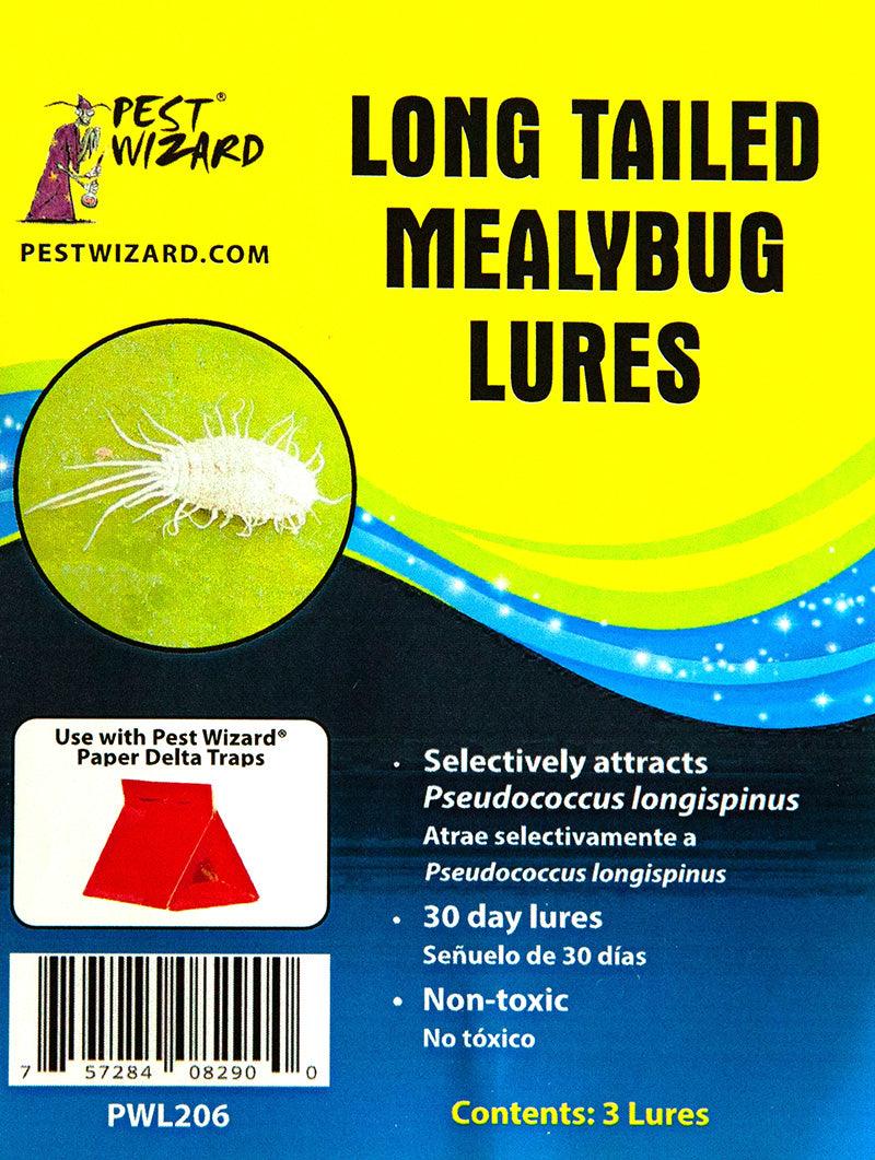 Pest Wizard Long Tailed Mealybug Lure 3-Pack - Tampa Home & Garden Store