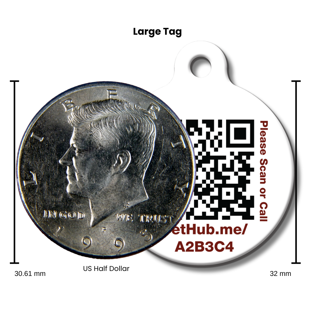 Médaille pour animaux PetHub avec identification QR - Embrassez-moi, je suis sauvé