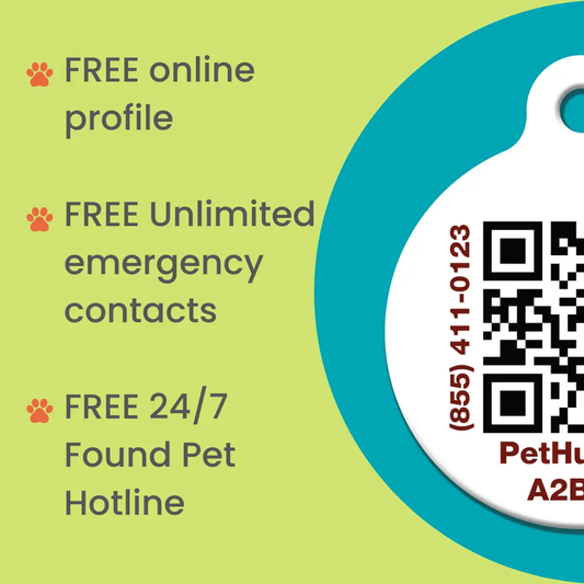 PetHub QR Pet ID Wallet and Keychain Card pet ID tag with QR code on lime background teal ring on Tampa Home & Garden Store