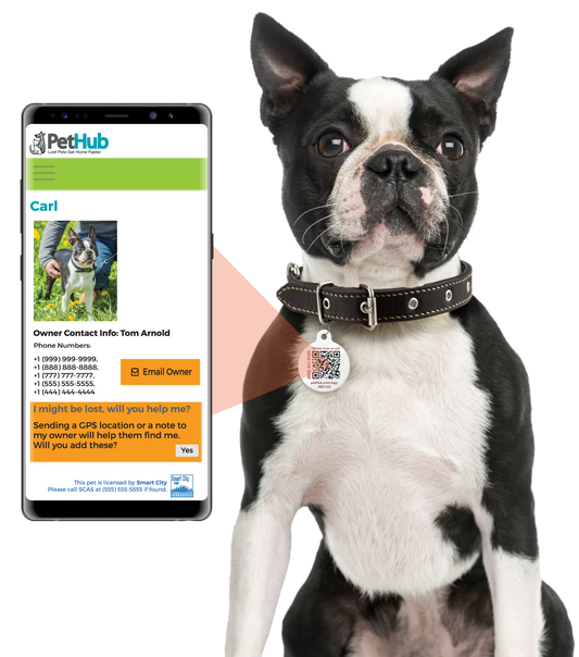 PetHub QR ID Pet Tag - Escape Artist - Tampa Home & Garden Store