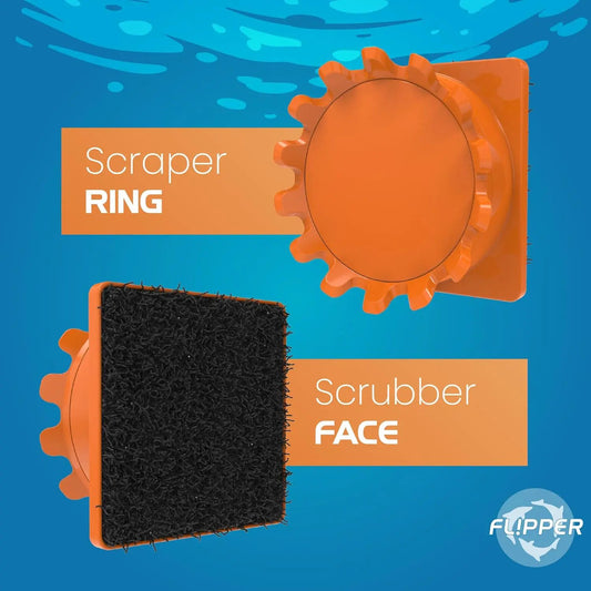 Flipper Pico 2-in-1 Magnetic Aquarium Cleaner Scraper and Scrubber orange gear ring and black foam on Tampa Home & Garden Store