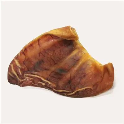 Pig Ear - Tampa Home & Garden Store