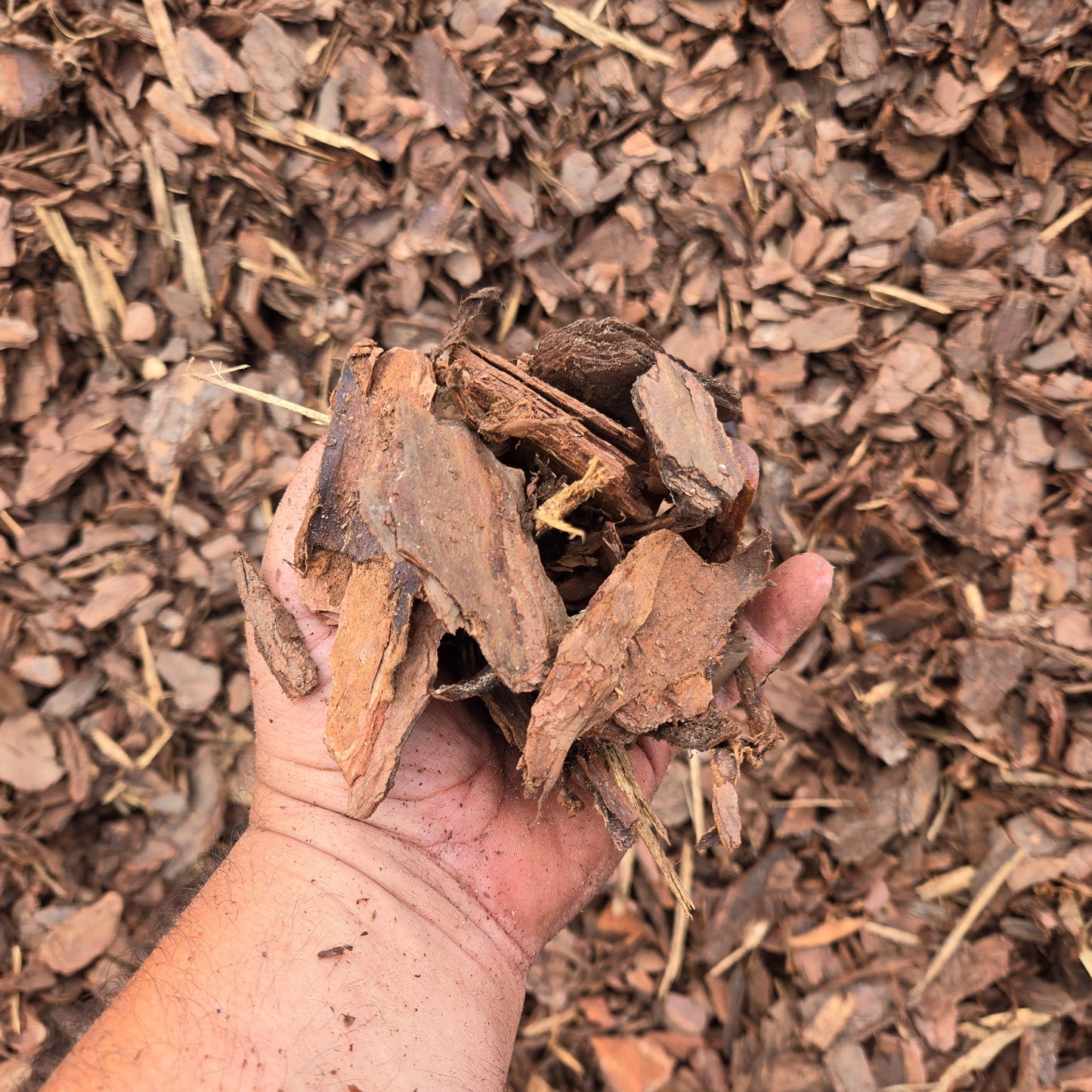 Pine Bark Mulch For Sale by the Yard - Tampa soil911.com