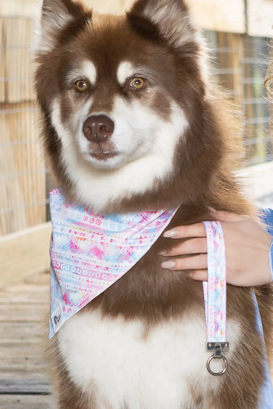Dog bandana set in pink and blue tribal print with matching keychain by Aria the Fox on Tampa Home & Garden Store
