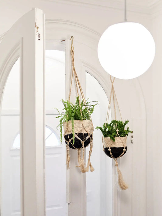 Plant Hanger - Bitan - Tampa soil911.com