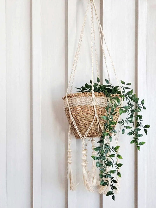 Plant Hanger - Fiora - Tampa soil911.com