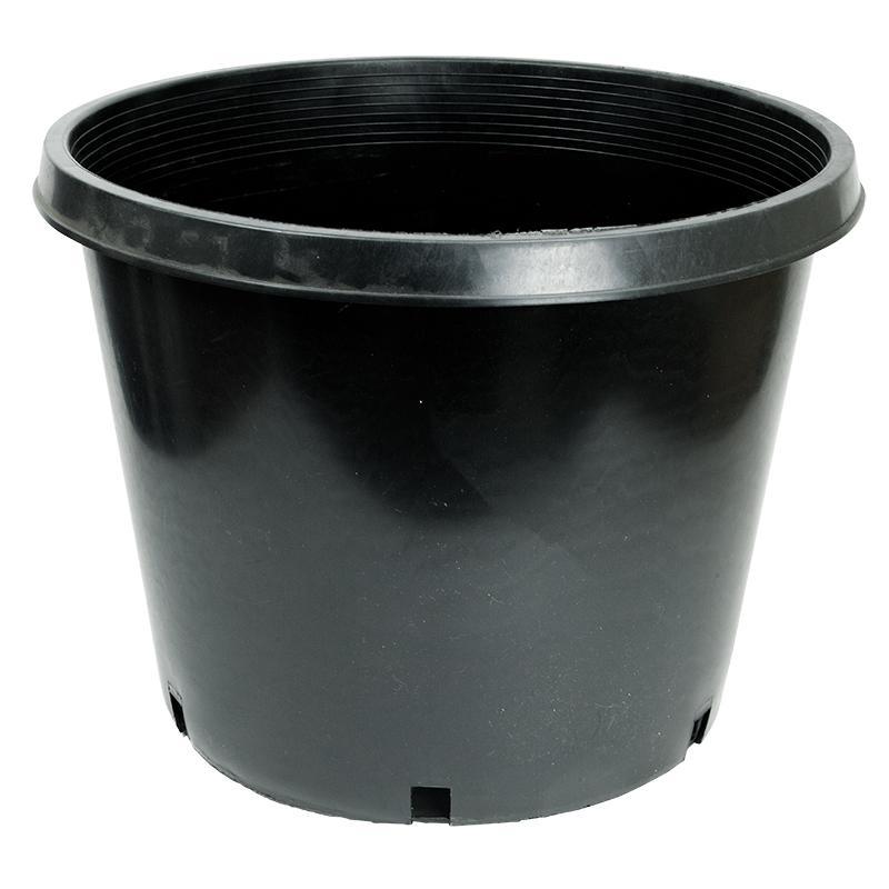 Plastic Squat Pot (20 Gal) - Tampa Home & Garden Store