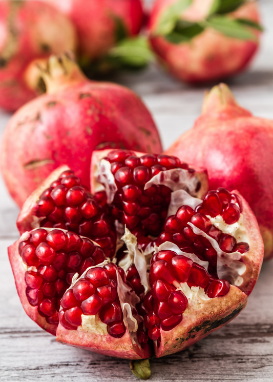 Pomegranate 'Parfianka' (Punica granatum) - Tampa Home & Garden Store
