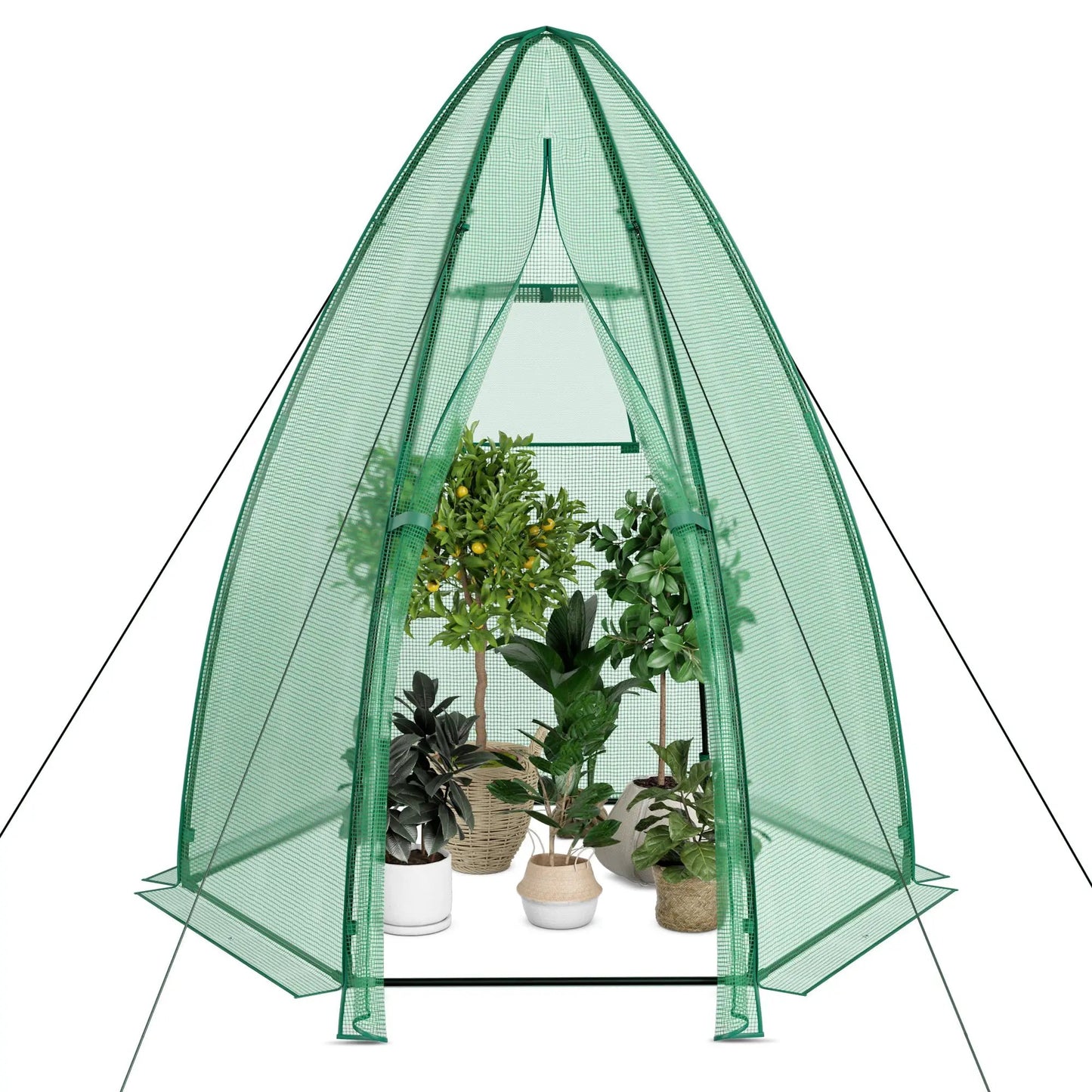 5.5 x 5.5 x 6 Feet Portable Mini Greenhouse with All-Weather PE Cover - Tampa Home & Garden Store
