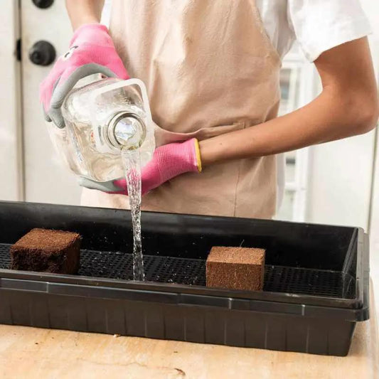 Mushroom Grow Kit Bootstrap Farmer 1020 Tray Kit; hand pours water into black tray blocks on Tampa Home & Garden Store