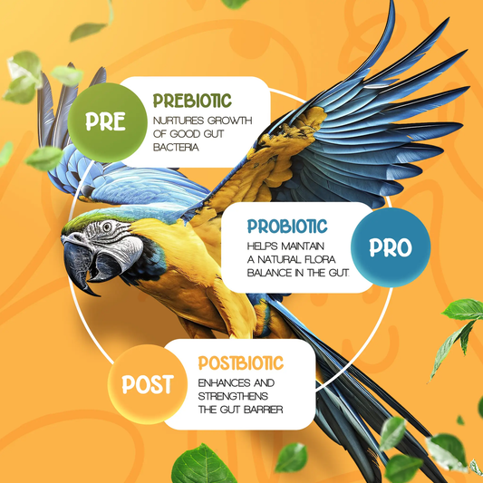 Pre Pro Post Biotics Blend for Parrots parrot food, 1.06oz Bird Street Bistro on Tampa Home & Garden Store