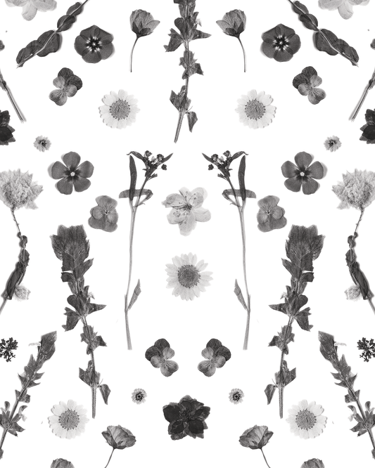 Pressed Fresh Version 02 Wallpaper, black and white - Tampa Home & Garden Store
