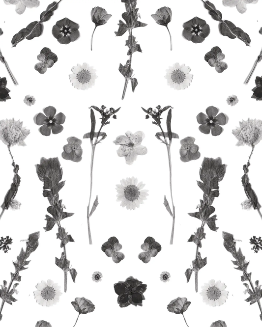 Pressed Fresh V02 Wallpaper black and white floral pattern by Samantha Santana Creative on Tampa Home & Garden Store