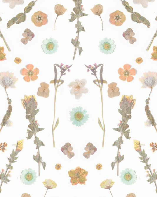 Pressed Fresh Version 02 Wallpaper, peach and mint - Tampa Home & Garden Store