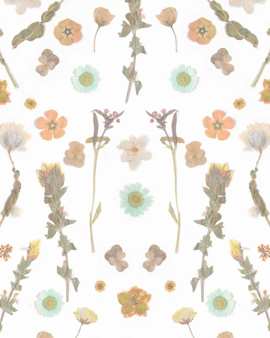 Wallpaper Pressed Fresh Version 02 peach mint flowers by Samantha Santana Creative on Tampa Home & Garden Store
