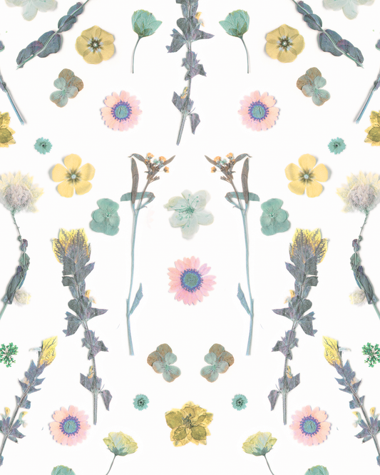 Pressed Fresh Version 02 Wallpaper, pink & yellow - Tampa Home & Garden Store