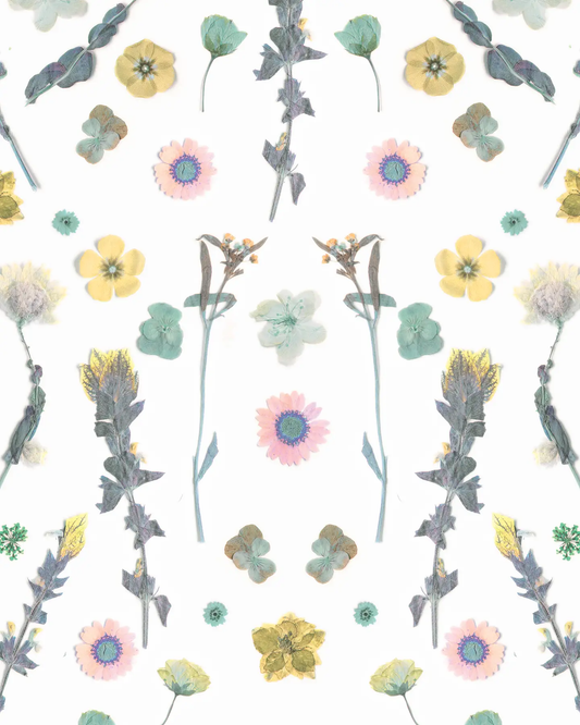 Wallpaper Pressed Fresh Version 02 pink and yellow floral pattern by Samantha Santana Creative on Tampa Home & Garden Store